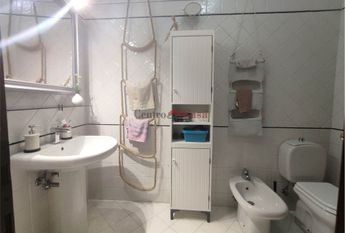 Grazioso tricolare in contesto di corte.