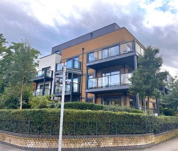 2 bedroom penthouse to rent - Photo 4