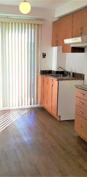 N-Rosemont 4.5 HAUT TRIPLEX près de tout; pas besoin de voiture! - Photo 1