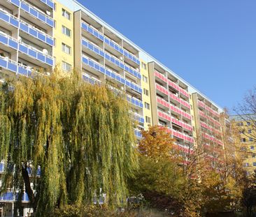 Sonnige Ausblicke auf Grünau! Nur ein Katzensprung zum Allee-Center... - Photo 4