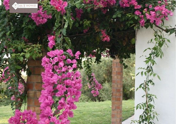 Farmhouse - Estepona (Costa Del Sol Occidental-Área)