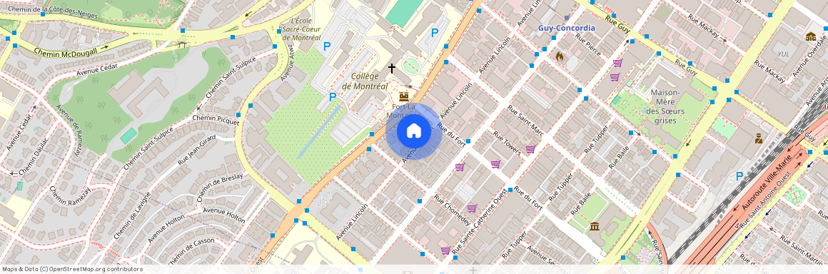 2075 Av. Lincoln, Montréal (Ville-Marie), QC H3H