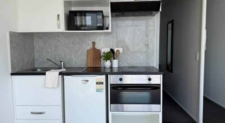 Two Bedroom Apartment in HARVARD - Photo 2