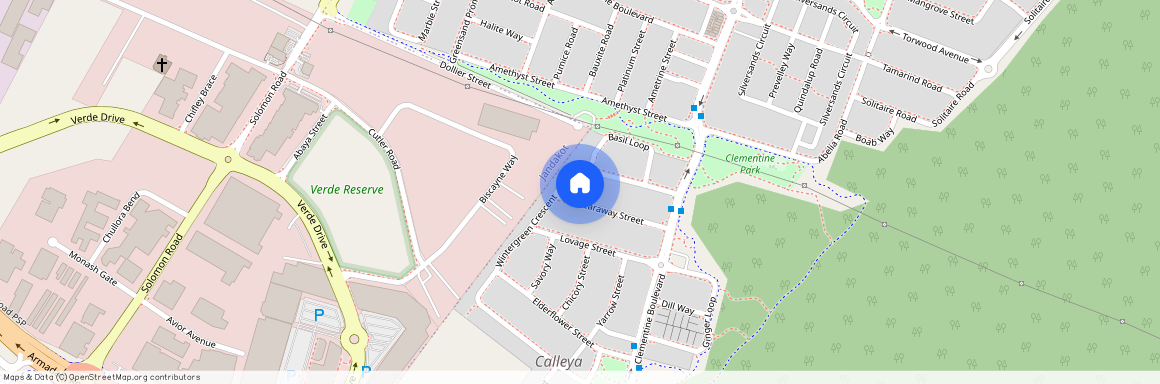 24 Caraway Street, WA 6164, Treeby