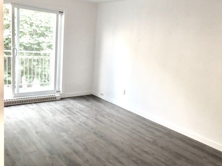 3125 Boul. Gouin E. Montréal (Montréal-Nord), QC H3M - Photo 2