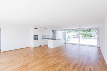 Wohn- & Wohlfühloase - Attikawohnung mit 2 Terrassen - Photo 4