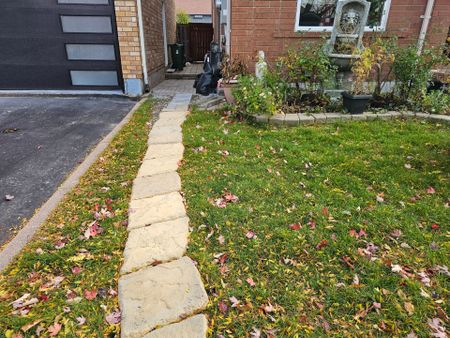 For Lease - 17 Dragonfly Crescent, Toronto, Ontario - Photo 4