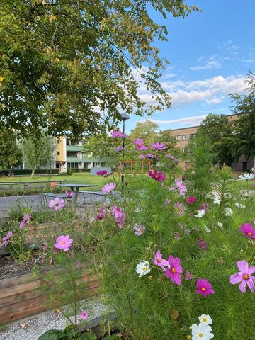 Hålsjögatan 31, Bellevuegården - Photo 4