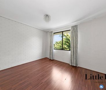 3/12 Wlikins Street, Mawson ACT 2607 - Apartment For Rent | Domain - Photo 4