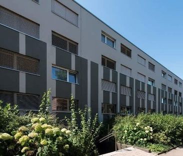 3.5 Zimmer, 80 m², 3. Stock - Photo 5