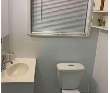 For Lease - 3679 Brandon Gate Drive Unit# Basement, Mississauga, On... - Photo 4