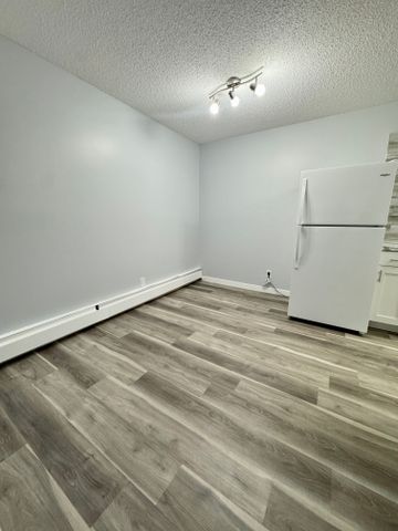 Modern and Spacious 2-Bedroom Apartment - SMALL PET FRIENDLY! - Photo 2