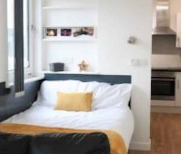 Studio Bronze Plus - Photo 3