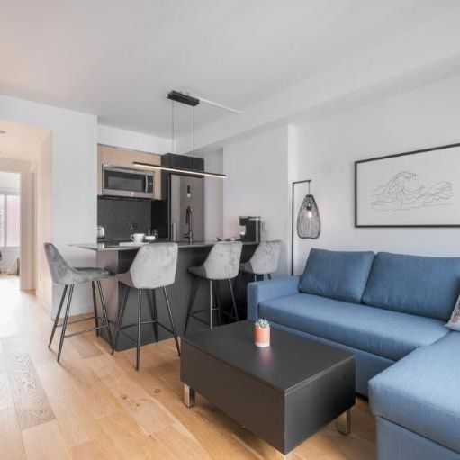 3 ½ entièrement meublé à louer Saint-Jean-Baptiste avril 2026 - Photo 1