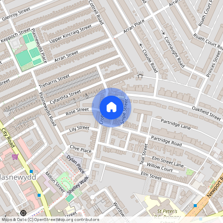 Oakfield Street, Caerdydd, Flat, CF24