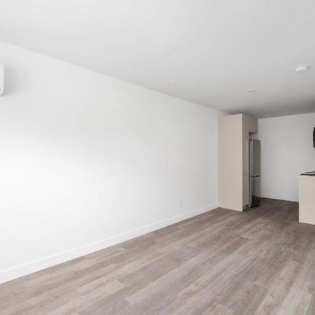 1 CH - 1 SDB - Montréal - $1,245 /mo - Photo 3