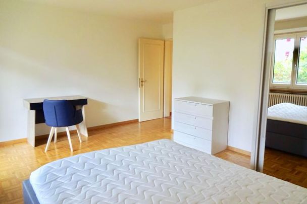 Mickey #3 - Experience 60's Charm in Zürich's Green Oasis - Photo 1