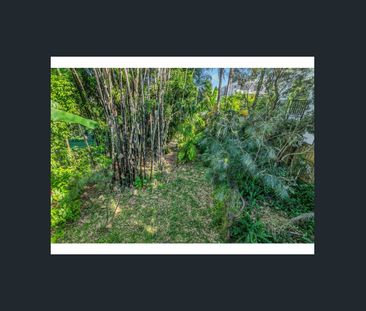 Charming St Lucia Home in Prime Location | Walk to UQ, Parks & Tran... - Photo 5