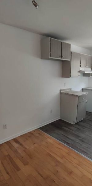 4 ½, 2 Chambres, Centre-sud, Près UQAM - Photo 1
