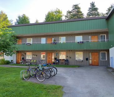 RIPSTIGEN 5 E BV. - Photo 3