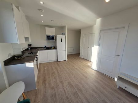 1 Bed Flat, Griffiths Close, B12 - Photo 3