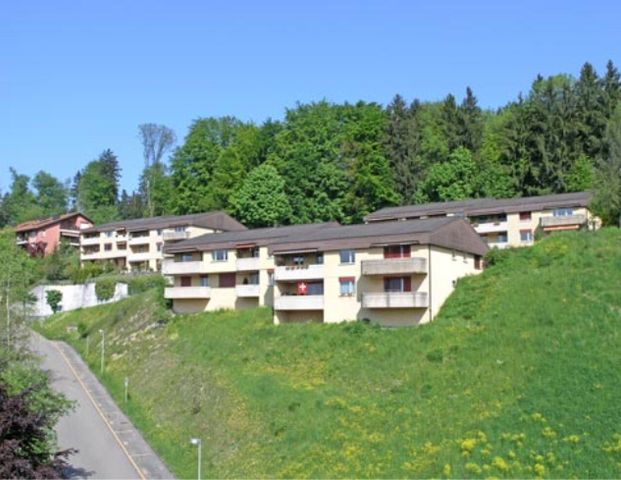Your new home in Jona - Photo 1