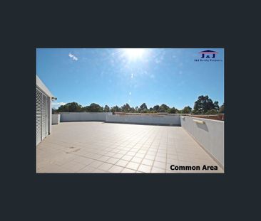 Sun Filled North Aspect 2beds Apartment for rent - Photo 2