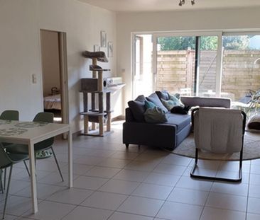 Appartement te huur in Hamme voor € 715 met 1 slaapkamer - Photo 4