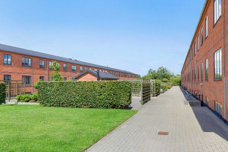 Afd. 3 Rosenvang - Photo 4