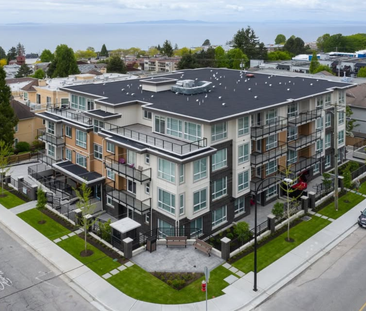 1293 Best Street apartment — White Rock, BC (2-Bedroom) - 2 Bedroom - Photo 3