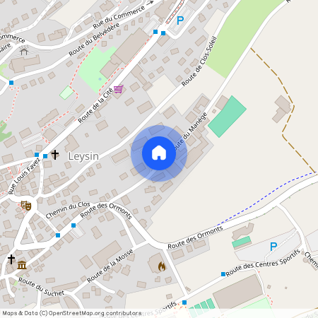 1854, Leysin, Route du Manège, 9