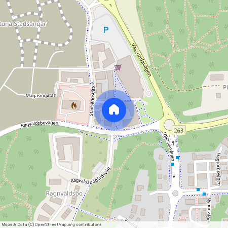 Katt Anders Gränd, Sigtuna