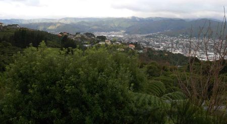 Sunny, Modern Townhouse with Stunning Views - Photo 3