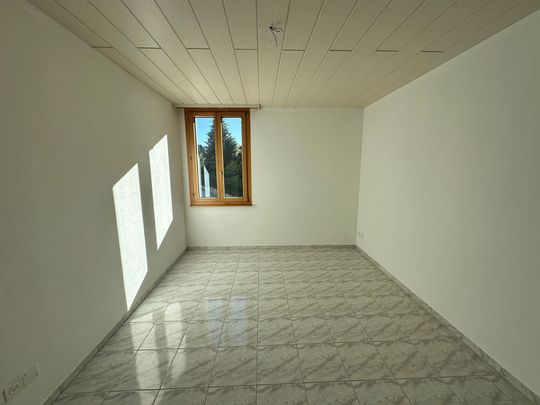 GRANDE APPARTAMENTO IMMERSO NEL VERDE - Foto 1