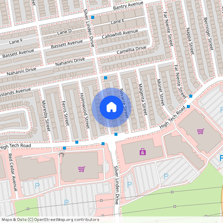 192 Silver Linden Drive Unit# Lower, Richmond Hill