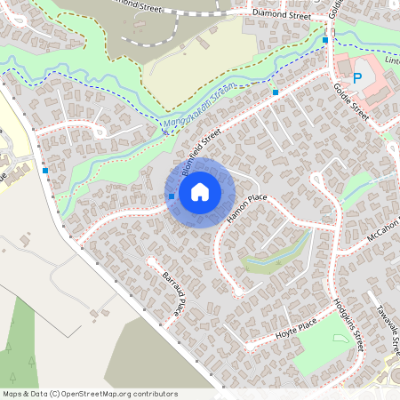 35 Blomfield Street, Pukehangi, Rotorua