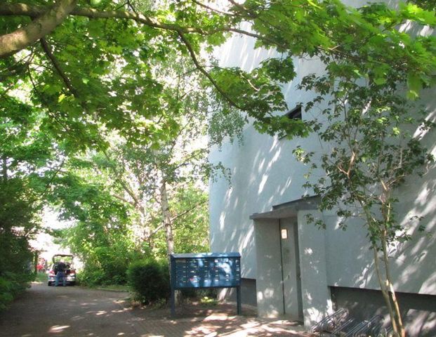 frisch für Sie hergerichtet - tolle 3 Raumwohnung ganz schick - Foto 1