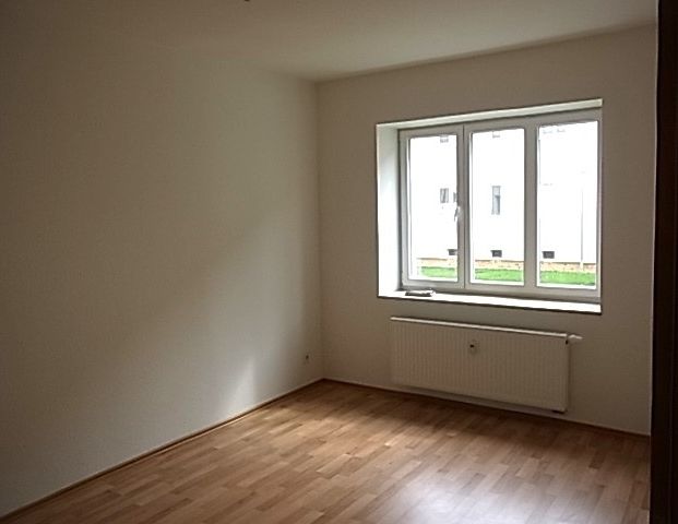 3 Zi- EG-Wg. mit Balkon ins Grüne, 2010 saniert., frei ab sofort - Foto 1