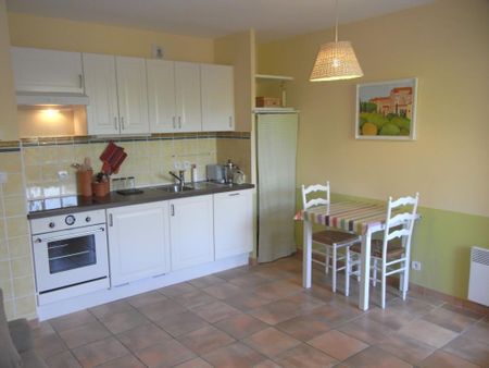 Location Appartement 1 pièce 23m² - Photo 3