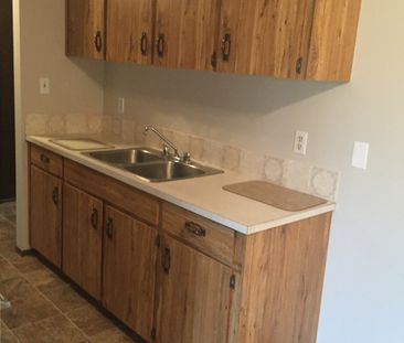 Spacious 1 Bedroom Apartment Located in a Well-Maintained Building - Photo 4