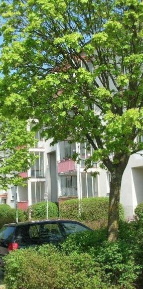 Heimkommen und wohlfühlen - grünes, modernes Wohnen in Leondinger Toplage - optimale Raumaufteilung - erstklassige Infrastruktur! - Photo 1