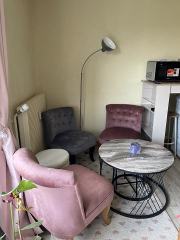Location Appartement 1 pièce 25m² ORLEANS 45100 - Photo 3