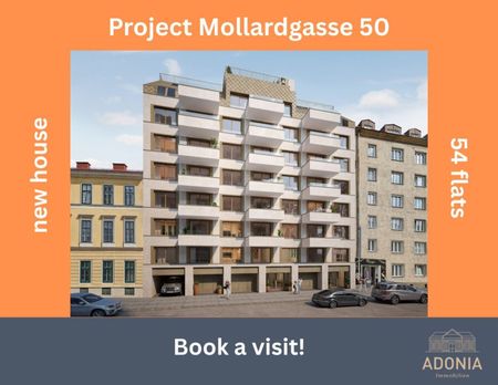 ++MOLLARD 50++ Exclusive 3-room apartment right in the heart of the city (3/3) - Photo 3