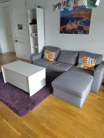 APPARTEMENT 41/2 PIÈCES À BERNE - FELSENAU/TIEFENAU, MEUBLÉ, TEMPORAIRE - Foto 3