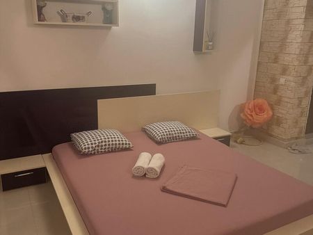 Garsoniera de lux in regim hotelier Piata Progresului, 100 lei - Photo 2