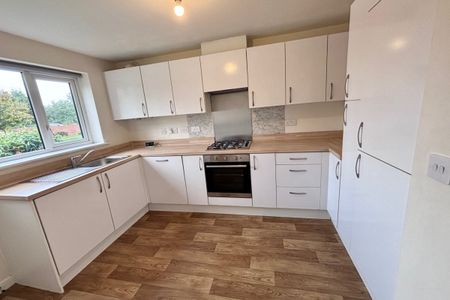 Canister Close - Photo 4