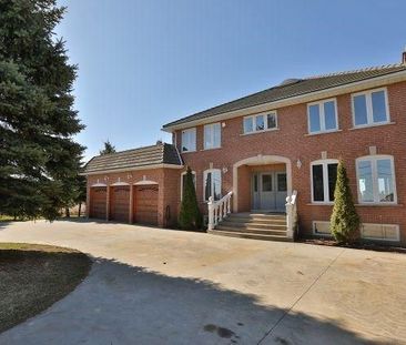 For Lease - 5640 Fifth Line Unit# Lower, Milton, Ontario - Photo 2