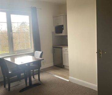 Studio 7, 254 Ravenhill Road, Belfast , BT6 8GJ - Photo 2