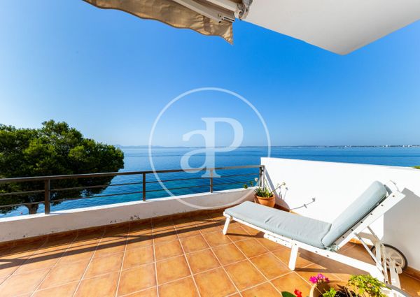Flat for rent with Terrace in Port d’Alcúdia - Platja d'Alcúdia (Alcúdia)