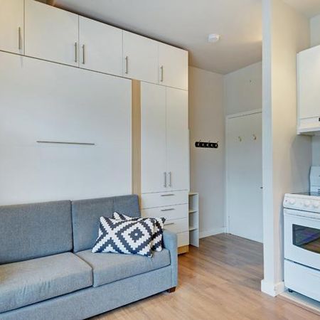 Loft entièrement meublé à louer Saint-Jean-Baptiste juillet 2026 - Photo 3